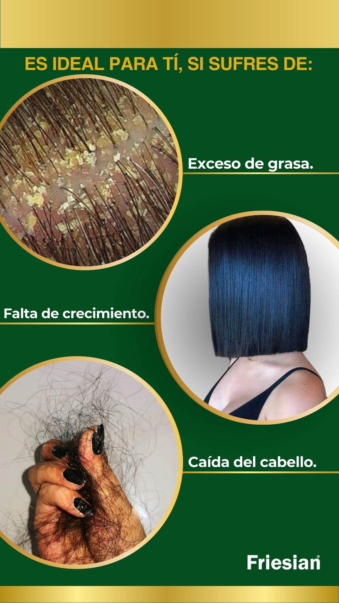 Shampoo Friesian - Imagen 7