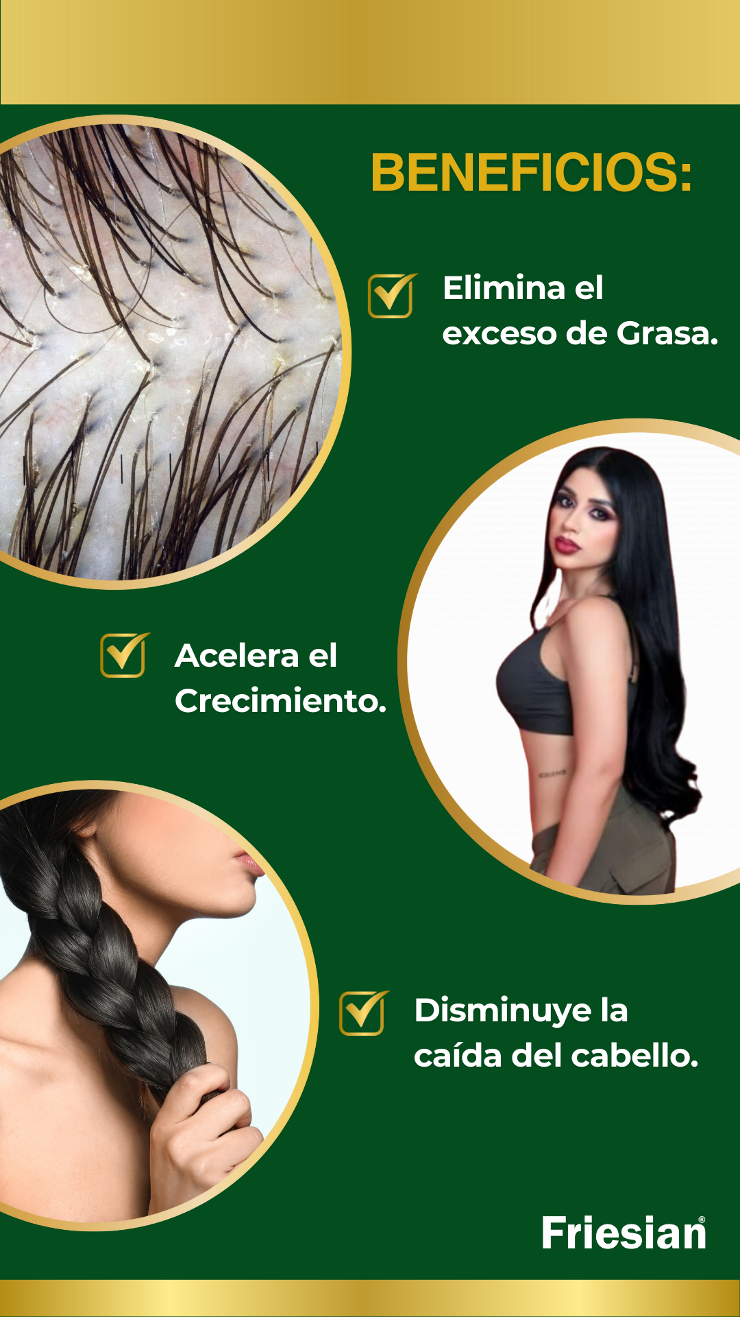 Shampoo Friesian - Imagen 8