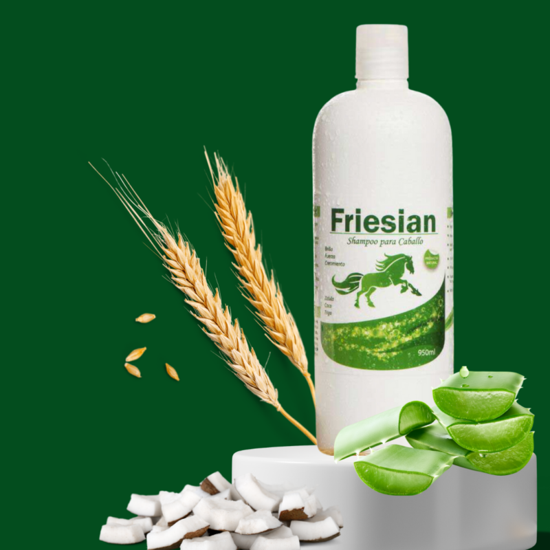 Shampoo Friesian