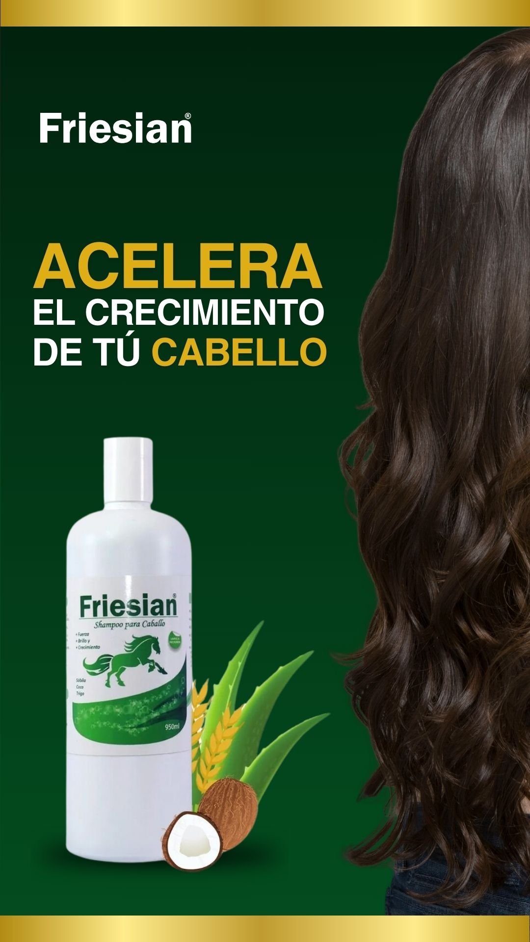 Shampoo Friesian - Imagen 5