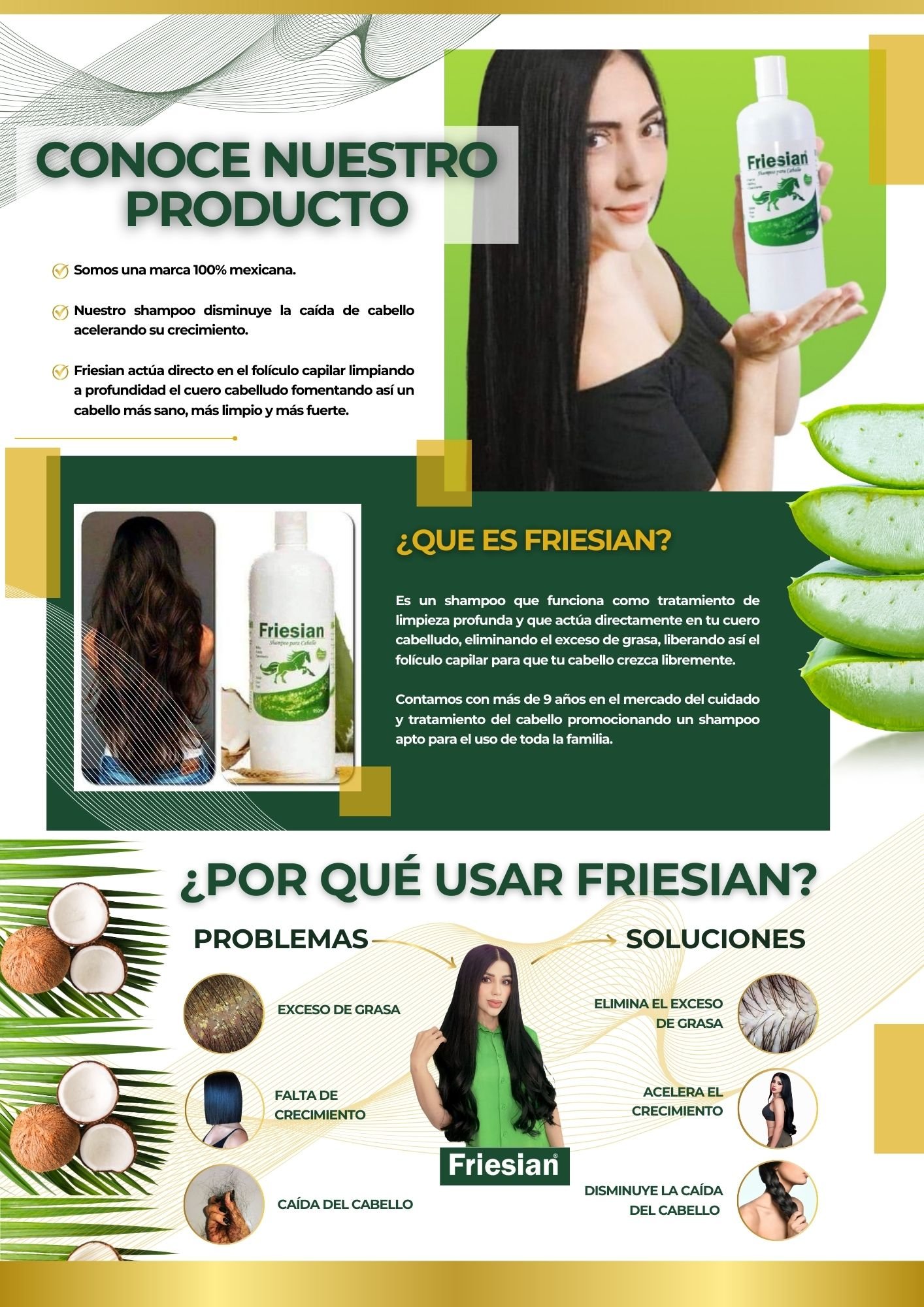 Shampoo Friesian - Imagen 4