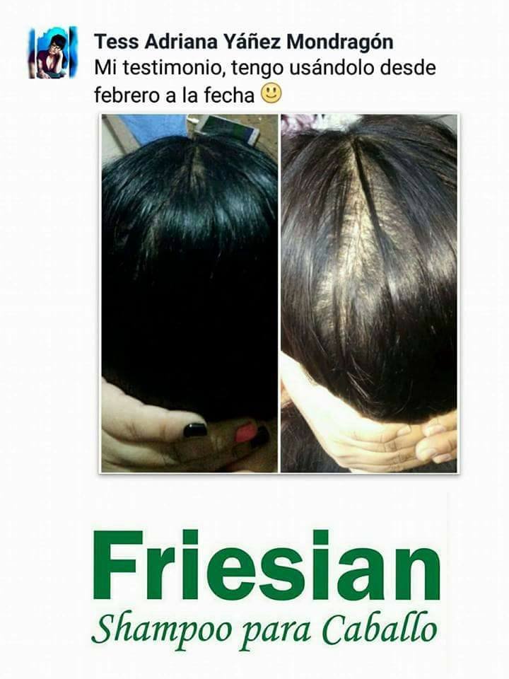 Shampoo Friesian - Imagen 9